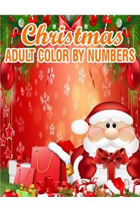 Christmas Adult Color By Numbers
