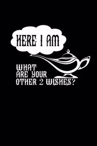 Here I am. What are your other 2 wishes?