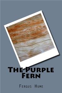 The Purple Fern