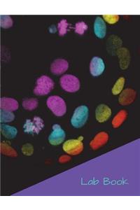 Lab Notebook