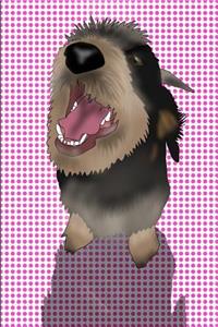 French Hound