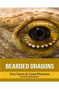 Bearded Dragons: Fun Facts & Cool Pictures
