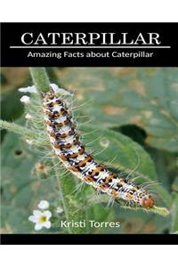 Amazing Facts about Caterpillar