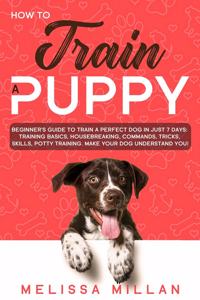 How to Train a Puppy