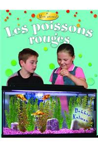 Les Poissons Rouges (Goldfish)