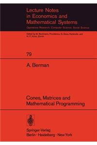 Cones, Matrices and Mathematical Programming