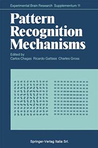 Pattern Recognition Mechanisms