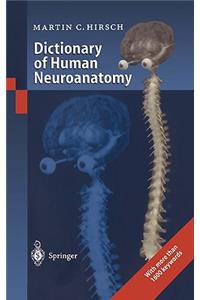 Dictionary of Human Neuroanatomy