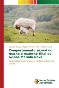 Comportamento Sexual Do Macho E Materno-Filial de Ovinos Morada Nova