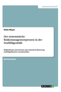 systematische Risikomanagementprozess in der Straffälligenhilfe