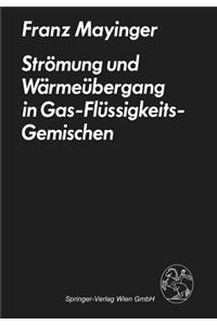 Strömung und Wärmeübergang in Gas-Flüssigkeits-Gemischen