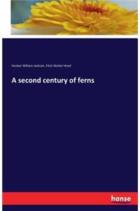 A second century of ferns