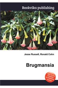 Brugmansia