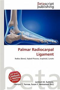 Palmar Radiocarpal Ligament