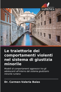 traiettorie dei comportamenti violenti nel sistema di giustizia minorile