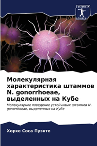 Молекулярная характеристика штаммов N. gonorrhoeae, в