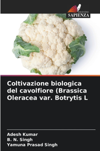 Coltivazione biologica del cavolfiore (Brassica Oleracea var. Botrytis L