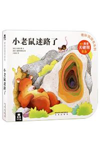 Wonderful Cave Book 4 - Little Mouse Is Lost