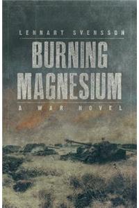 Burning Magnesium