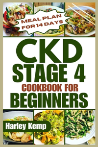 CKD Stage 4 Cookbook for Beginners
