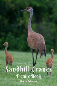 Sandhill Cranes Picture Book