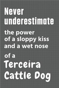 Never underestimate the power of a sloppy kiss and a wet nose of a Terceira Cattle Dog