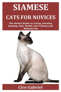 Siamese Cats for Novices
