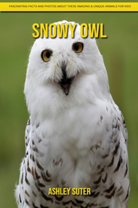 Snowy Owl