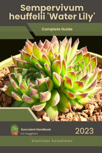 Sempervivum heuffelii 'Water Lily': Succulent Handbook: Complete Guide to Growing Succulent Plant