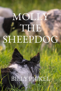 Molly the Sheepdog