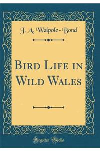 Bird Life in Wild Wales (Classic Reprint)