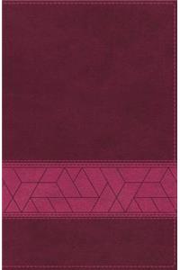 Niv, Storyline Bible, Leathersoft, Pink, Indexed, Comfort Print