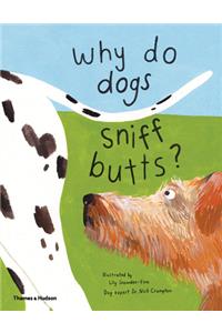 Why Do Dogs Sniff Butts?