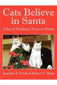 Cats Believe in Santa