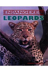 Leopards