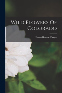 Wild Flowers Of Colorado