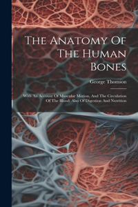 Anatomy Of The Human Bones