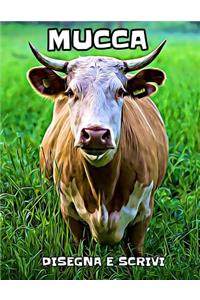 Mucca