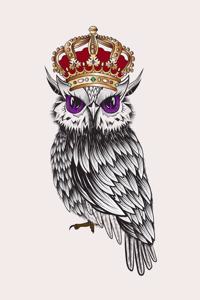 Majestic Queen Owl Graph Paper Notebook