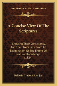 Concise View Of The Scriptures