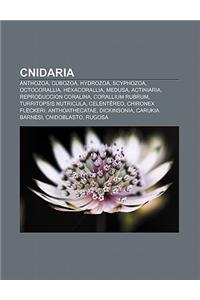Cnidaria: Anthozoa, Cubozoa, Hydrozoa, Scyphozoa, Octocorallia, Hexacorallia, Medusa, Actiniaria, Reproduccion Coralina, Coralli