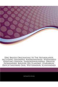 Articles on Dog Breeds Originating in the Netherlands, Including: Keeshond, Kooikerhondje, Wirehaired Pointing Griffon, Saarlooswolfhond, Drentse Patr