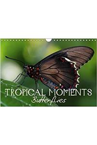 Tropical Moments Butterflies 2018