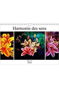 Harmonie Des Sens Beaux Lys 2018