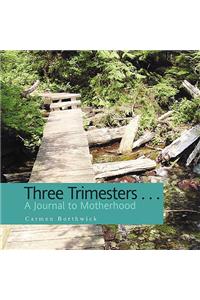 Three Trimesters ... A Journal to Motherhood