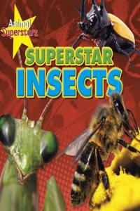 INSECT SUPERSTARS