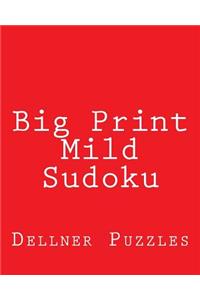 Big Print Mild Sudoku