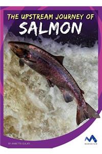 The Upstream Journey of Salmon