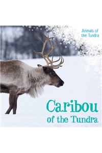 Caribou of the Tundra