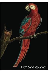Dot Grid Journal: 7x 10 Dot Grid Journal Professionally Designed (Parrot Paintings), Work Book, Planner, Dotted Notebook, Bullet Grid Journal, Diary,100 Pages